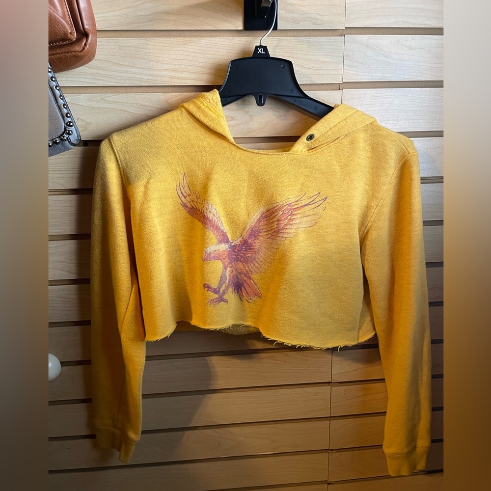Cropped American Eagle Hoodie